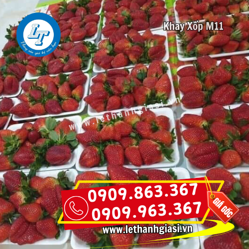 khay xốp m11 đựng trái cây bắt mắt khay xốp m11 đựng trái cây bắt mắt