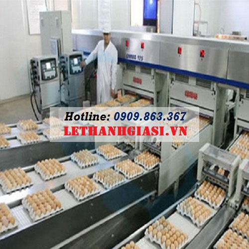 vỉ trứng giấy tphcm