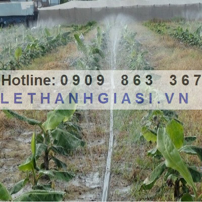 ống dây tưới phun mưa cho cây chuối ống dây tưới phun mưa cho cây chuối
