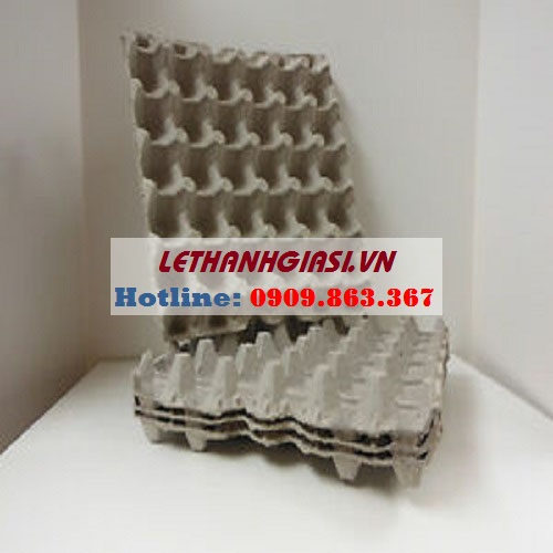 Vỉ đựng trứng bằng giấy (khay giấy- vỉ giấy đựng trứng)