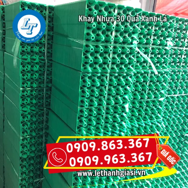 KHAY NHỰA ĐỰNG TRỨNG 30 QUẢ MÀU XANH LÁ