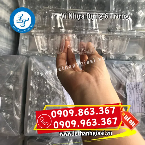 VỈ NHỰA ĐỰNG 6 TRỨNG GÀ VỊT