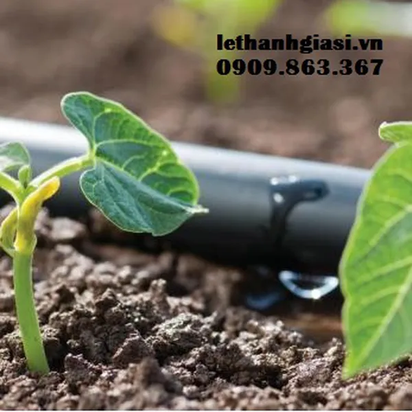 Ống tưới nhỏ giọt Dẹt 