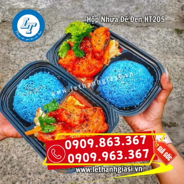 HỘP NHỰA ĐẾ ĐEN 2 NGĂN HT205