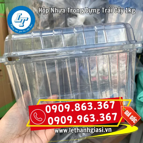 HỘP NHỰA TRONG ĐỰNG TRÁI CÂY 1kg P1000B