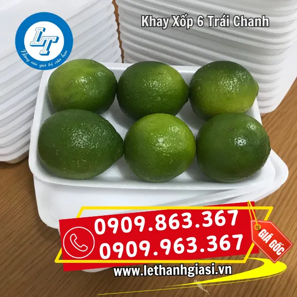 KHAY XỐP 6 TRÁI CHANH