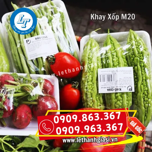 KHAY XỐP M20