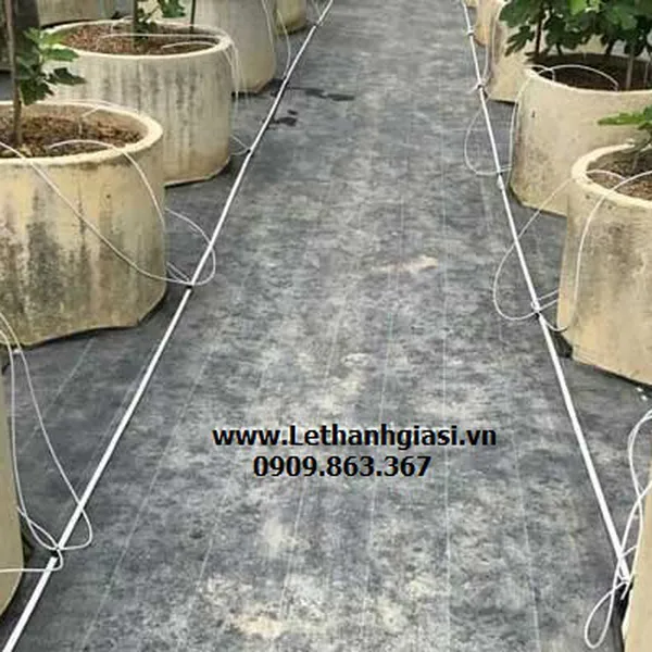 ỐNG LDPE BẠC TƯỚI NƯỚC