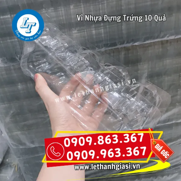 VỈ NHỰA ĐỰNG TRỨNG 10 QUẢ