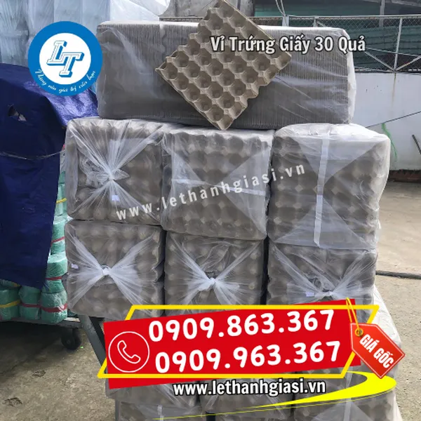 VỈ TRỨNG GIẤY MALAYSIA 30 QUẢ