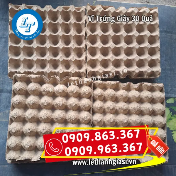 VỈ TRỨNG GIẤY MALAYSIA 30 QUẢ