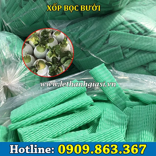 XỐP BỌC BƯỞI