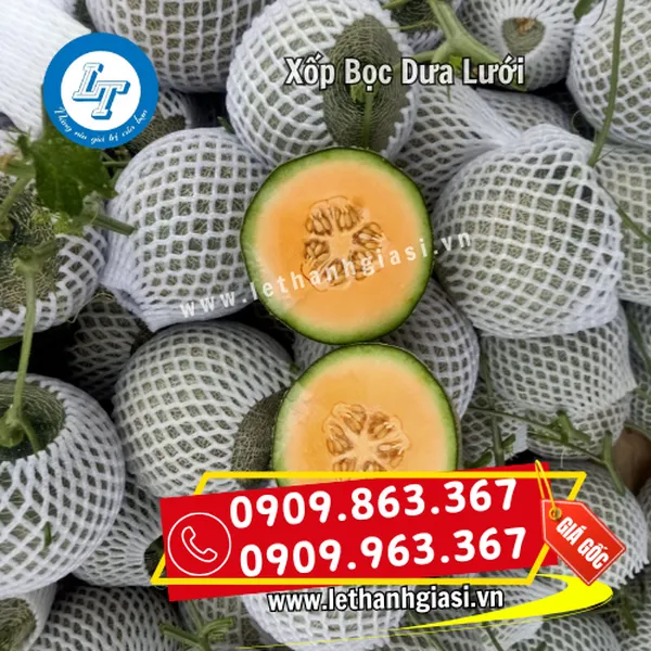 XỐP BỌC DƯA LƯỚI