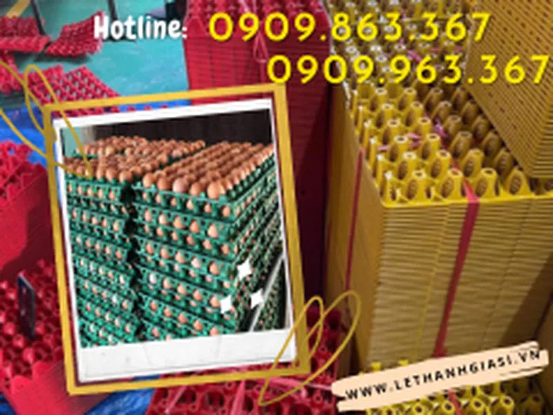 Tổng kho vỉ đựng trứng giá sỉ đủ loại