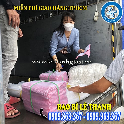 túi hột xoài pp trong in hình giá rẻ miễn ship tphcm túi hột xoài pp trong in hình giá rẻ miễn ship tphcm