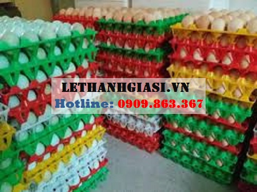 Ví đựng trứng bằng nhựa cứng (khay nhựa đựng trứng)