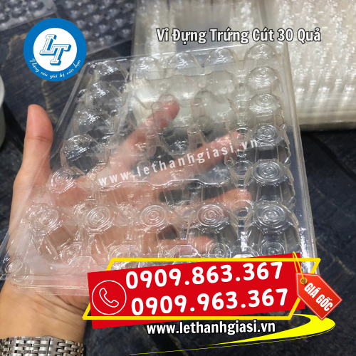 vỉ đựng trứng cút 30 quả tại lê thanh vỉ đựng trứng cút 30 quả tại lê thanh