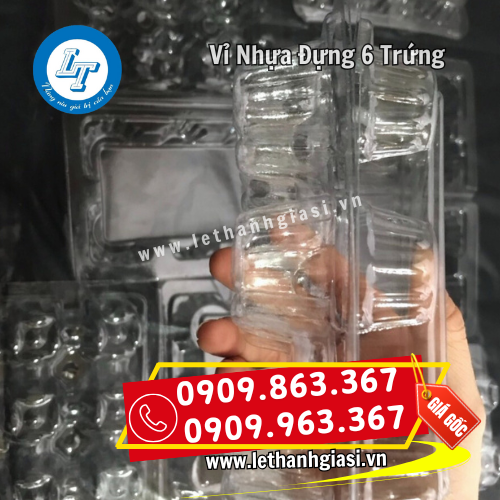 vỉ trứng 6 quả cấu tạo thông minh vỉ trứng 6 quả cấu tạo thông minh