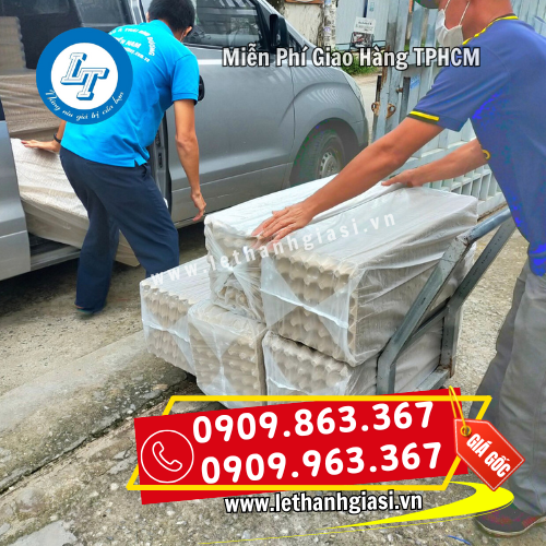 vỉ trứng giấy giá sỉ giao nhanh chóng vỉ trứng giấy giá sỉ giao nhanh chóng