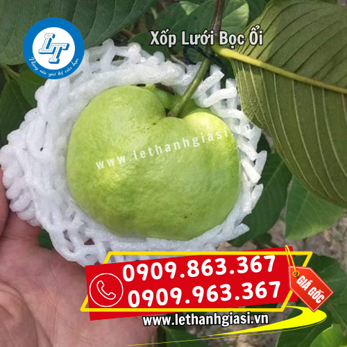 xốp lưới bọc ổi giá sỉ rẻ cho nhà vườn xốp lưới bọc ổi giá sỉ rẻ cho nhà vườn