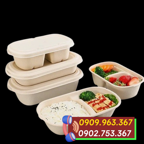 Mua hộp bã mía 2 ngăn đựng thức ăn giá rẻ hộp bã mía 2 ngăn