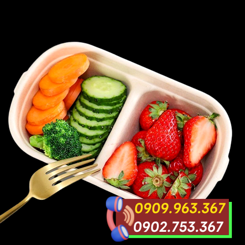 Mua hộp bã mía 2 ngăn đựng thức ăn giá rẻ hộp bã mía đựng thức ăn