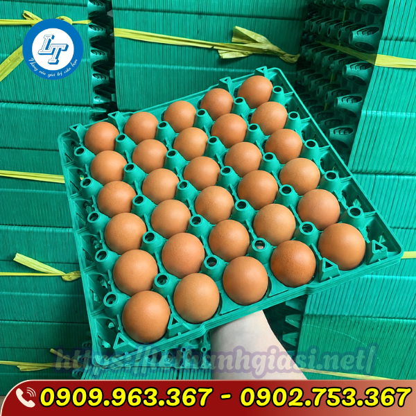 VỈ TRỨNG NHỰA CỨNG 30 QUẢ ĐỦ MÀU GIÁ SỈ VỈ TRỨNG NHỰA CỨNG 30 QUẢ ĐỦ MÀU GIÁ SỈ