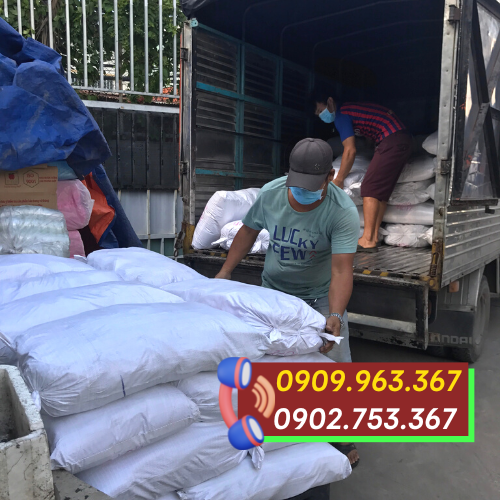 Bỏ sỉ tăm tre xỉa răng số lượng lớn bán buôn tăm tre