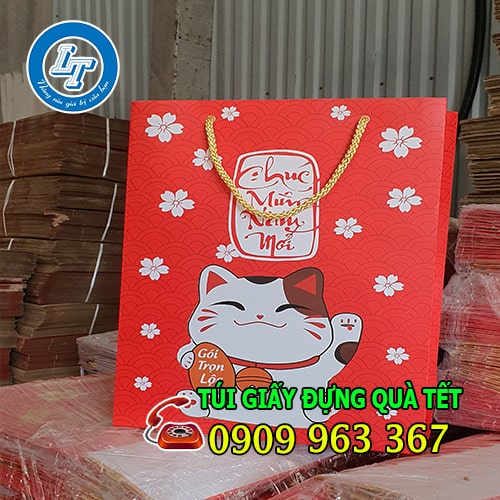 ĐỊA CHỈ BÁN TÚI GIẤY ĐỰNG QUÀ TẾT GIÁ SỈ TPHCM túi giấy đựng quà tết