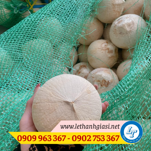 Cung cấp bao tải lưới đựng nông sản giá rẻ Miền Nam bao tải lưới màu xanh