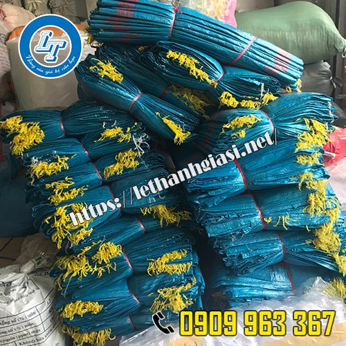 MUA BAO TẢI DỨA XANH ĐÓNG HÀNG ĐỰNG ĐỒ KHÔ Ở ĐÂU GIÁ RẺ BAO TẢI MÀU XANH