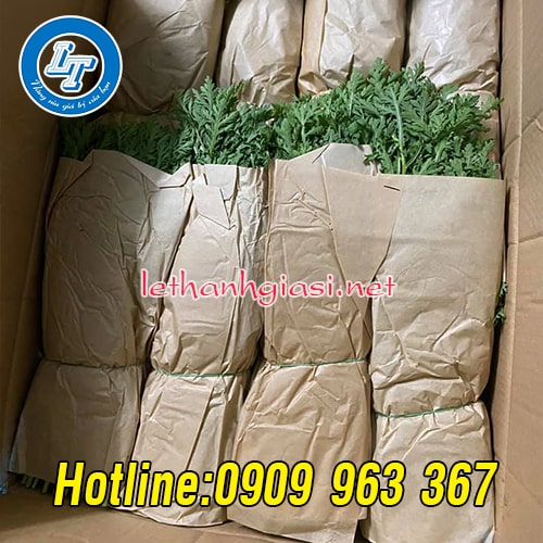 ĐỊA CHỈ BÁN GIẤY GÓI RAU CỦ GIÁ RẺ TPHCM giấy gói rau củ màu nâu