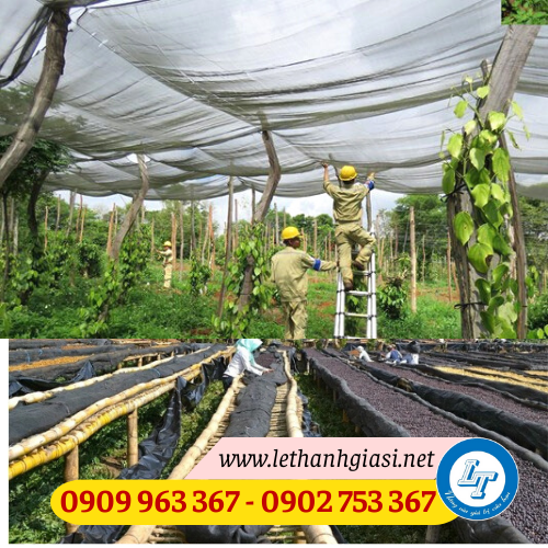 Địa chỉ bán lưới mùng đen giá rẻ siêu ưu đãi ứng dụng của lưới mùng đen