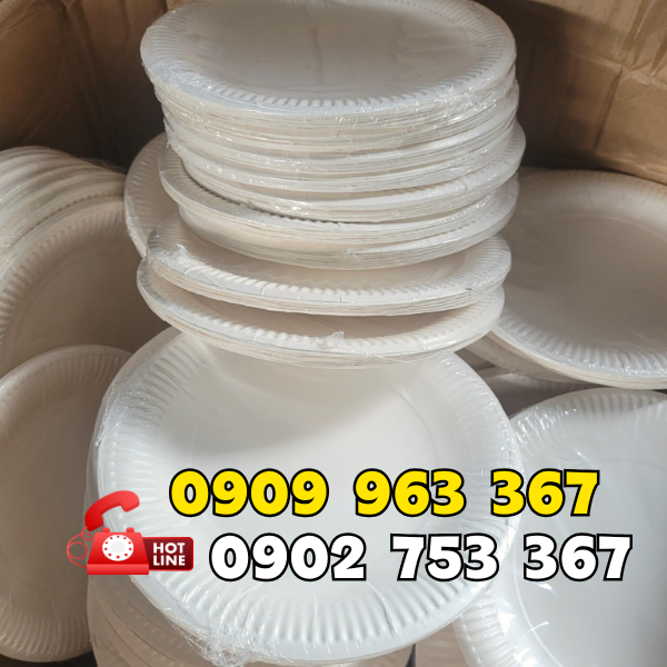 DĨA GIẤY SINH NHẬT dĩa giấy dùng 1 lần