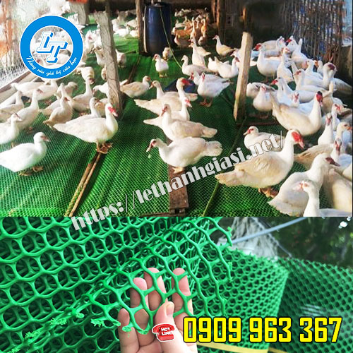 GIÁ RẺ LƯỚI NHỰA CỨNG MÀU XANH DÙNG TRONG CHĂN NUÔI lưới nhựa mắt cáo màu xanh