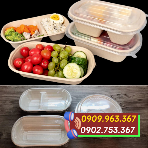 Mua hộp bã mía 2 ngăn đựng thức ăn giá rẻ hộp giấy bã mía 2 ngăn