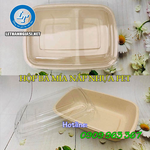 MUA SỈ HÔP BÃ MÍA ĐỰNG THỨC ĂN Ở ĐÂU TPHCM hộp bã mía nắp nhựa PET