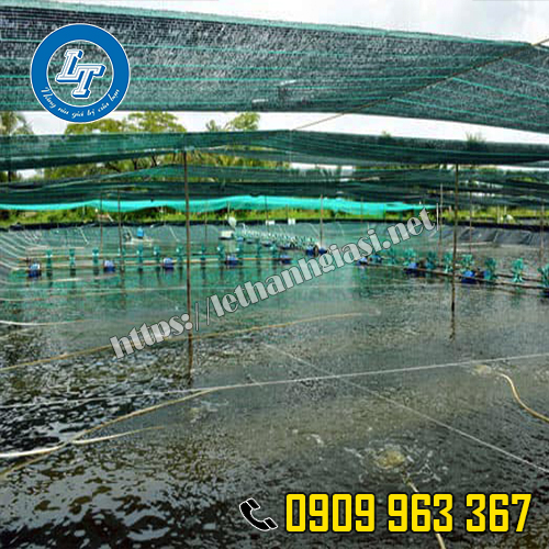 3 LOẠI LƯỚI CHE NẮNG TỐT, GIÁ RẺ BÁN CHẠY NHẤT TRÊN THỊ TRƯỜNG LƯỚI CHE NẮNG THÁI LAN KHỔ 2 MÉT