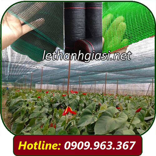 Lưới che nắng màu các loại che vườn lan Lưới che nắng màu các loại che vườn lan