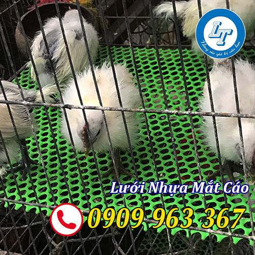 NƠI BÁN SỈ LƯỚI NHỰA MẮT CÁO LỖ TO, LỖ NHỎ TPHCM lưới nhựa làm chuồng gà