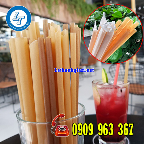 SỬ DỤNG ỐNG HÚT BÃ MÍA CÓ TỐT KHÔNG? GIÁ BAO NHIÊU TIỀN? ống hút bã mía