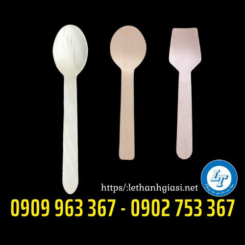 Muỗng gỗ dùng 1 lần giá rẻ tại TPHCM muỗng gỗ dùng 1 lần