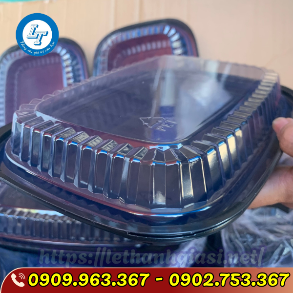 HỘP NHỰA ĐẾ ĐEN HT203 HỘP NHỰA ĐẾ ĐEN HT203