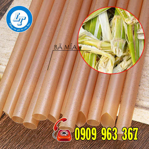 SỬ DỤNG ỐNG HÚT BÃ MÍA CÓ TỐT KHÔNG? GIÁ BAO NHIÊU TIỀN? ống hút bã mía