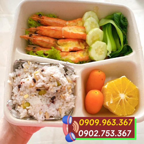 Phân phối sỉ rẻ hộp đựng thức ăn bằng bã mía tại TPHCM hộp bã mía đựng cơm 3 ngăn