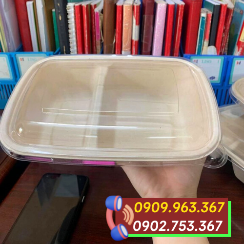 Phân phối sỉ rẻ hộp đựng thức ăn bằng bã mía tại TPHCM hộp bã mía 2 ngăn nắp nhựa