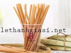 TÌM MUA ỐNG HÚT BÃ MÍA GIÁ RẺ Ở ĐÂU TPHCM?