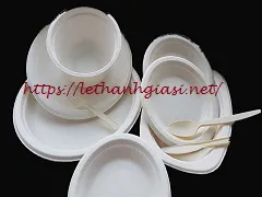 CUNG CẤP CHÉN DĨA BÃ MÍA TAKEAWAY CHO ĐẠI LÝ TPHCM