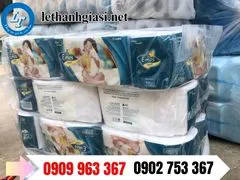CHUYÊN SỈ GIẤY VỆ SINH CUỘN NHỎ GIÁ RẺ NHẤT TPHCM