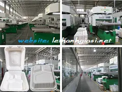 CÔNG TY CUNG CẤP HỘP BÃ MÍA 3 NGĂN ĐỰNG CƠM TPHCM